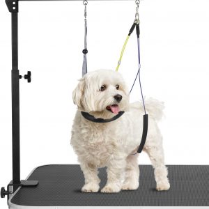 Adjustable Dog Grooming Arms with Anti-Slip Powerful Metal Clamp,Portable Pet Grooming Arm for Table with 1 Loop Noose & Two No Sit Haunch Holder,Grooming Restraint for Small Medium Dogs/Cats at Home