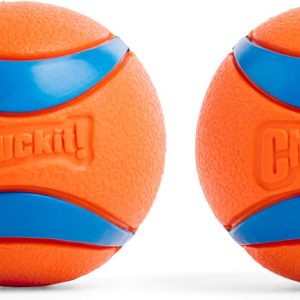 Chuckit! Ultra Ball Dog Toy - Medium Bouncy Fetch Balls For Dogs 20-60 lbs - Made from Durable Rubber - Floating Water Pet Toys - Size Medium - 2.5-inch Diameter - Pack of 2