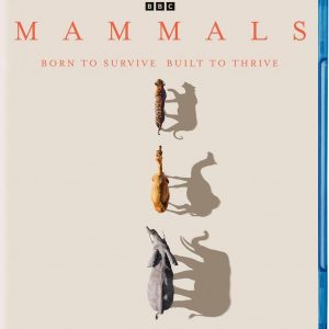 Mammals (Blu-ray)
