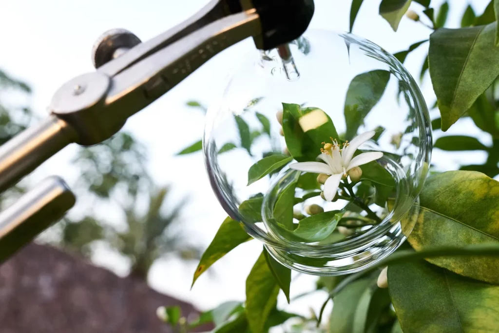 How sustainability is redefining luxury